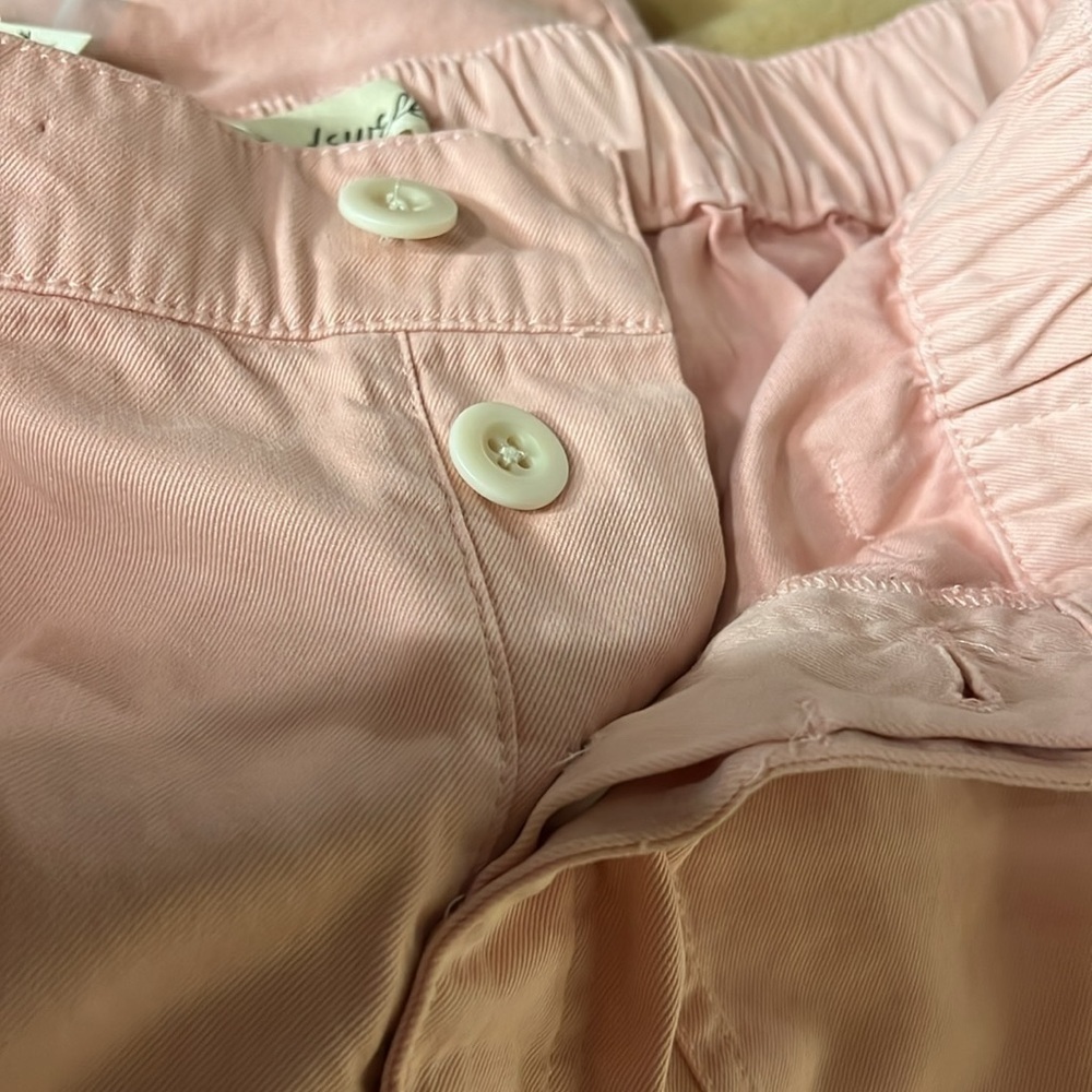 NWT Madewell Pink Elastic & Button Fly High Rise 4-Pocket 3” Shorts NA162 - Picture 6 of 6